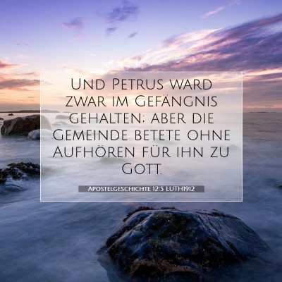 Picture 07 - Apostelgeschichte 12:5 LUTH1912 - Und Petrus ward zwar im Gefängnis gehalten; aber - Bible Verse Picture