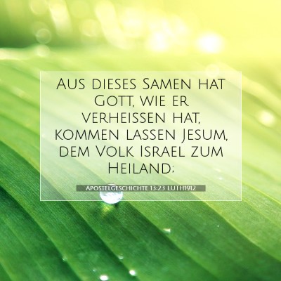 Picture 07 - Apostelgeschichte 13:23 LUTH1912 - Aus dieses Samen hat Gott, wie er verheißen hat, - Bible Verse Picture