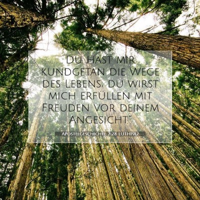 Picture 07 - Apostelgeschichte 2:28 LUTH1912 - Du hast mir kundgetan die Wege des Lebens; du - Bible Verse Picture