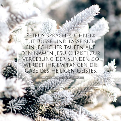 Picture 07 - Apostelgeschichte 2:38 LUTH1912 - Petrus sprach zu ihnen: Tut Buße und lasse sich - Bible Verse Picture