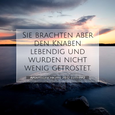 Picture 07 - Apostelgeschichte 20:12 LUTH1912 - Sie brachten aber den Knaben lebendig und wurden - Bible Verse Picture