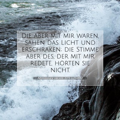 Picture 07 - Apostelgeschichte 22:9 LUTH1912 - Die aber mit mir waren, sahen das Licht und - Bible Verse Picture