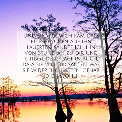 Picture 07 - Apostelgeschichte 23:30 LUTH1912 - Und da vor mich kam, daß etliche Juden auf ihn - Bible Verse Picture