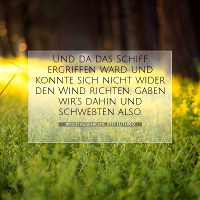 Picture 07 - Apostelgeschichte 27:15 LUTH1912 - Und da das Schiff ergriffen ward und konnte sich - Bible Verse Picture