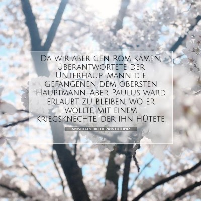 Picture 07 - Apostelgeschichte 28:16 LUTH1912 - Da wir aber gen Rom kamen, überantwortete der - Bible Verse Picture