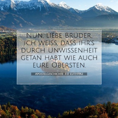 Picture 07 - Apostelgeschichte 3:17 LUTH1912 - Nun, liebe Brüder, ich weiß, daß ihr's durch - Bible Verse Picture
