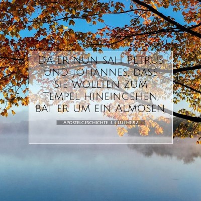 Picture 07 - Apostelgeschichte 3:3 LUTH1912 - Da er nun sah Petrus und Johannes, daß sie - Bible Verse Picture