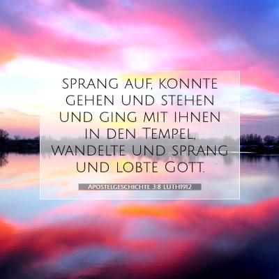 Picture 07 - Apostelgeschichte 3:8 LUTH1912 - sprang auf, konnte gehen und stehen und ging mit - Bible Verse Picture