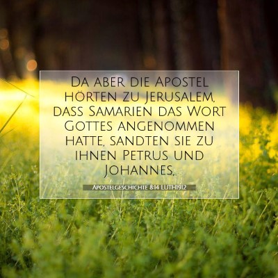 Picture 07 - Apostelgeschichte 8:14 LUTH1912 - Da aber die Apostel hörten zu Jerusalem, daß - Bible Verse Picture