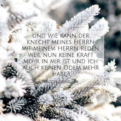 Picture 07 - Daniel 10:17 LUTH1912 - und wie kann der Knecht meines HERRN mit meinem - Bible Verse Picture