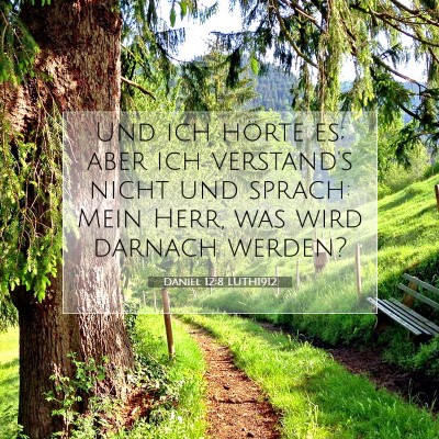 Picture 07 - Daniel 12:8 LUTH1912 - Und ich hörte es; aber ich verstand's nicht und - Bible Verse Picture