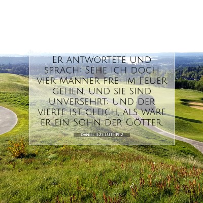 Picture 07 - Daniel 3:25 LUTH1912 - Er antwortete und sprach: Sehe ich doch vier - Bible Verse Picture