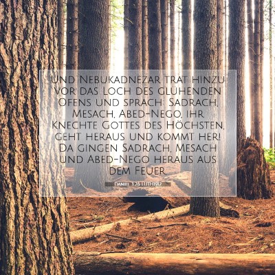 Picture 07 - Daniel 3:26 LUTH1912 - Und Nebukadnezar trat hinzu vor das Loch des - Bible Verse Picture