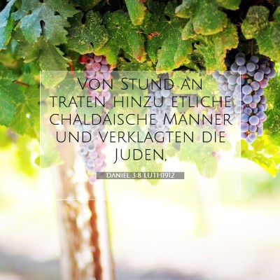 Picture 07 - Daniel 3:8 LUTH1912 - Von Stund an traten hinzu etliche chaldäische - Bible Verse Picture
