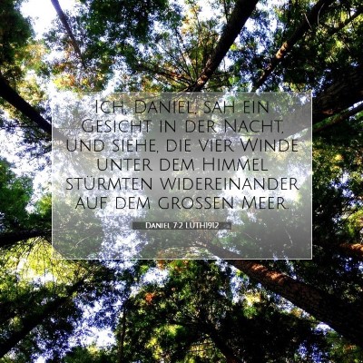 Picture 07 - Daniel 7:2 LUTH1912 - Ich, Daniel, sah ein Gesicht in der Nacht, und - Bible Verse Picture