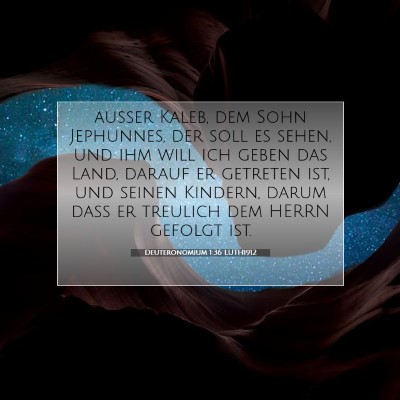 Picture 07 - Deuteronomium 1:36 LUTH1912 - außer Kaleb, dem Sohn Jephunnes, der soll es - Bible Verse Picture