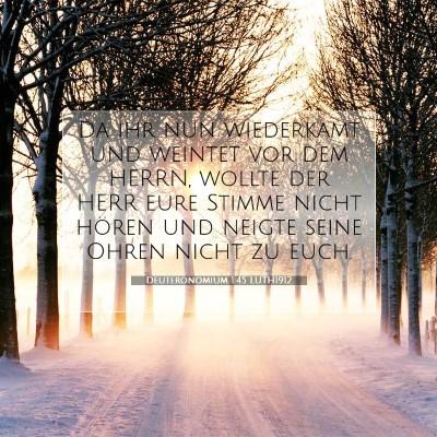 Picture 07 - Deuteronomium 1:45 LUTH1912 - Da ihr nun wiederkamt und weintet vor dem HERRN, - Bible Verse Picture