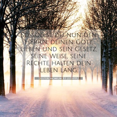 Picture 07 - Deuteronomium 11:1 LUTH1912 - So sollst du nun den HERRN, deinen Gott, lieben - Bible Verse Picture