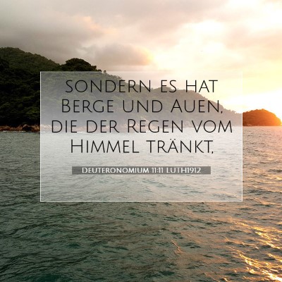 Picture 07 - Deuteronomium 11:11 LUTH1912 - sondern es hat Berge und Auen, die der Regen vom - Bible Verse Picture
