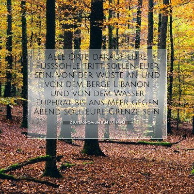 Picture 07 - Deuteronomium 11:24 LUTH1912 - Alle Orte, darauf eure Fußsohle tritt, sollen - Bible Verse Picture