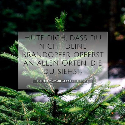Picture 07 - Deuteronomium 12:13 LUTH1912 - Hüte dich, daß du nicht deine Brandopfer - Bible Verse Picture