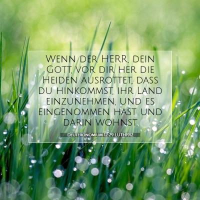 Picture 07 - Deuteronomium 12:29 LUTH1912 - Wenn der HERR, dein Gott, vor dir her die Heiden - Bible Verse Picture