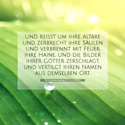 Picture 07 - Deuteronomium 12:3 LUTH1912 - und reißt um ihre Altäre und zerbrecht ihre - Bible Verse Picture