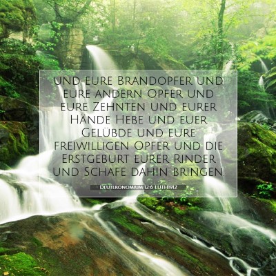 Picture 07 - Deuteronomium 12:6 LUTH1912 - und eure Brandopfer und eure andern Opfer und - Bible Verse Picture