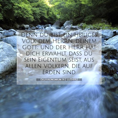 Picture 07 - Deuteronomium 14:2 LUTH1912 - Denn du bist ein heiliges Volk dem HERRN, deinem - Bible Verse Picture