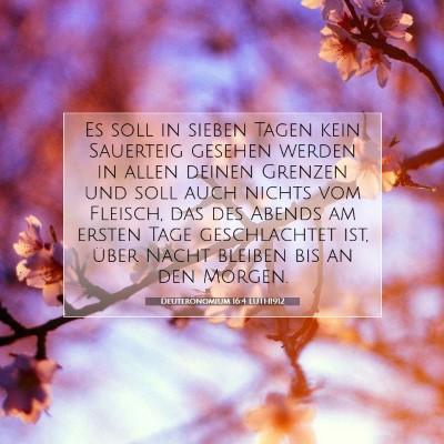 Picture 07 - Deuteronomium 16:4 LUTH1912 - Es soll in sieben Tagen kein Sauerteig gesehen - Bible Verse Picture