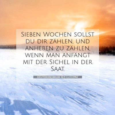 Picture 07 - Deuteronomium 16:9 LUTH1912 - Sieben Wochen sollst du dir zählen, und anheben - Bible Verse Picture