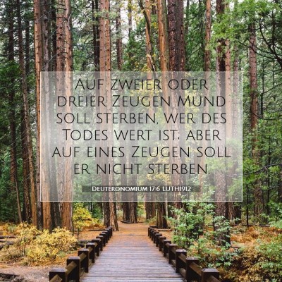 Picture 07 - Deuteronomium 17:6 LUTH1912 - Auf zweier oder dreier Zeugen Mund soll sterben, - Bible Verse Picture