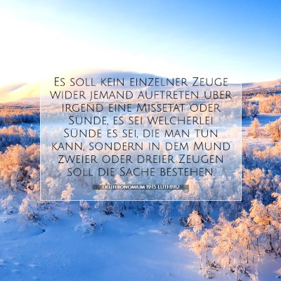 Picture 07 - Deuteronomium 19:15 LUTH1912 - Es soll kein einzelner Zeuge wider jemand - Bible Verse Picture