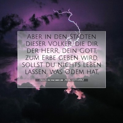 Picture 07 - Deuteronomium 20:16 LUTH1912 - Aber in den Städten dieser Völker, die dir der - Bible Verse Picture
