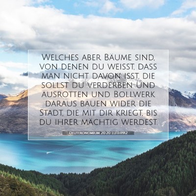 Picture 07 - Deuteronomium 20:20 LUTH1912 - Welches aber Bäume sind, von denen du weißt, - Bible Verse Picture