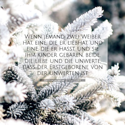 Picture 07 - Deuteronomium 21:15 LUTH1912 - Wenn jemand zwei Weiber hat, eine, die er - Bible Verse Picture
