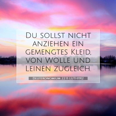Picture 07 - Deuteronomium 22:11 LUTH1912 - Du sollst nicht anziehen ein gemengtes Kleid, von - Bible Verse Picture
