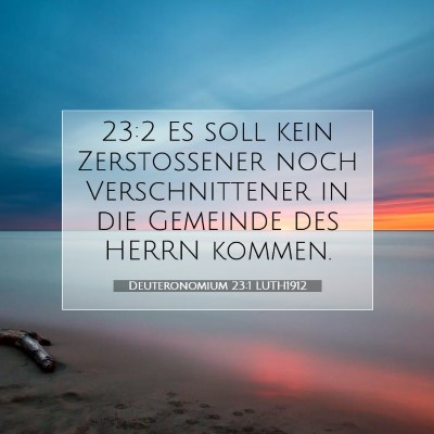 Picture 07 - Deuteronomium 23:1 LUTH1912 - 23:2 Es soll kein Zerstoßener noch - Bible Verse Picture