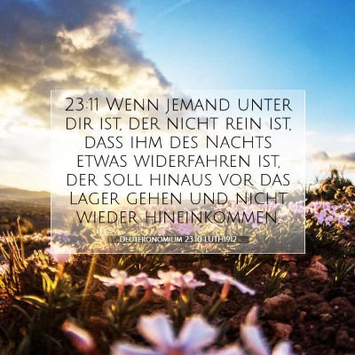 Picture 07 - Deuteronomium 23:10 LUTH1912 - 23:11 Wenn jemand unter dir ist, der nicht rein - Bible Verse Picture