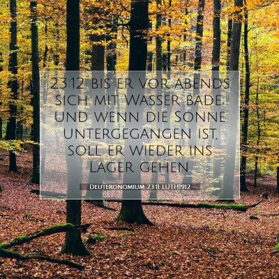 Picture 07 - Deuteronomium 23:11 LUTH1912 - 23:12 bis er vor abends sich mit Wasser bade; und - Bible Verse Picture
