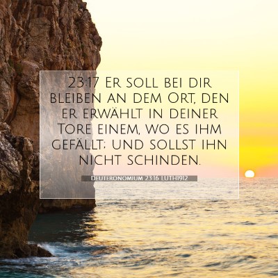 Picture 07 - Deuteronomium 23:16 LUTH1912 - 23:17 Er soll bei dir bleiben an dem Ort, den er - Bible Verse Picture