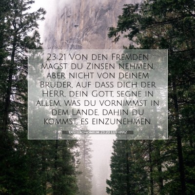 Picture 07 - Deuteronomium 23:20 LUTH1912 - 23:21 Von den Fremden magst du Zinsen nehmen, - Bible Verse Picture