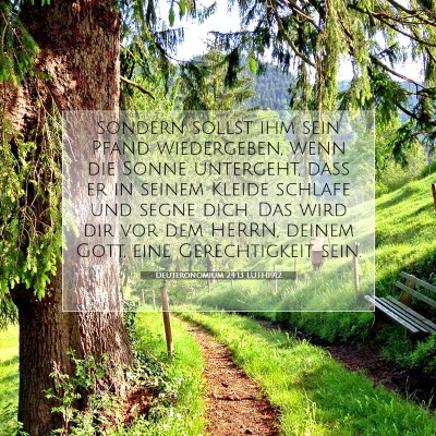 Picture 07 - Deuteronomium 24:13 LUTH1912 - sondern sollst ihm sein Pfand wiedergeben, wenn - Bible Verse Picture