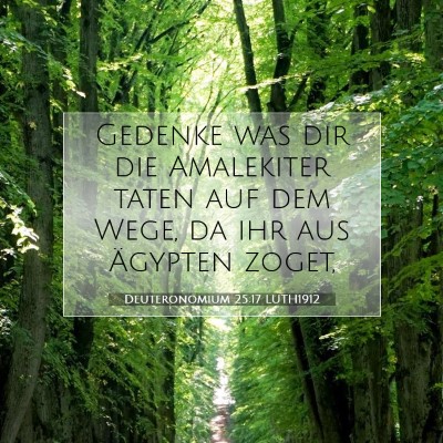 Picture 07 - Deuteronomium 25:17 LUTH1912 - Gedenke was dir die Amalekiter taten auf dem - Bible Verse Picture