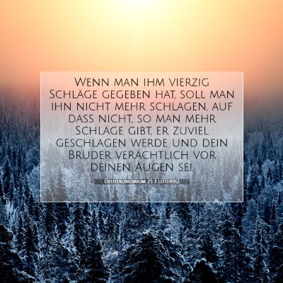 Picture 07 - Deuteronomium 25:3 LUTH1912 - Wenn man ihm vierzig Schläge gegeben hat, soll - Bible Verse Picture