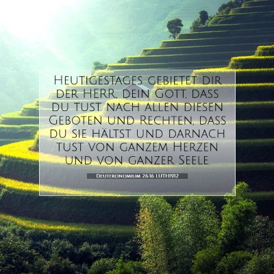 Picture 07 - Deuteronomium 26:16 LUTH1912 - Heutigestages gebietet dir der HERR, dein Gott, - Bible Verse Picture