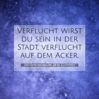 Picture 07 - Deuteronomium 28:16 LUTH1912 - Verflucht wirst du sein in der Stadt, verflucht - Bible Verse Picture