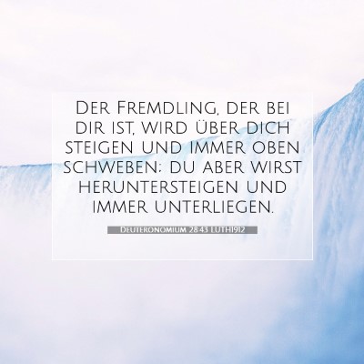 Picture 07 - Deuteronomium 28:43 LUTH1912 - Der Fremdling, der bei dir ist, wird über dich - Bible Verse Picture
