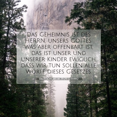 Picture 07 - Deuteronomium 29:29 LUTH1912 - Das Geheimnis ist des HERRN, unsers Gottes; was - Bible Verse Picture