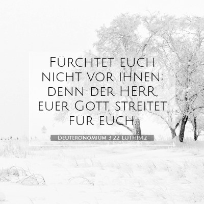 Picture 07 - Deuteronomium 3:22 LUTH1912 - Fürchtet euch nicht vor ihnen; denn der HERR, - Bible Verse Picture